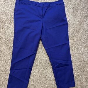 Vibrant Blue Pants
